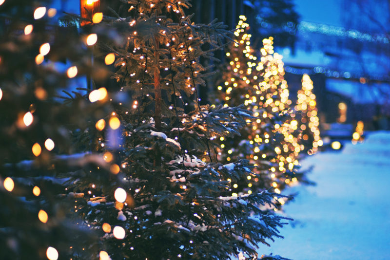 Christmas trees. Photo: Shutterstock