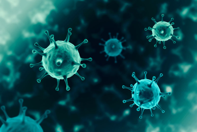 Koronaviruksia. Kuva: Shutterstock