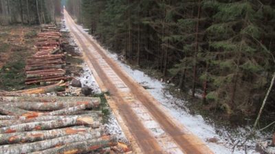 CLT-levyillä vahvistettu metsätie. Kuva: Ilga Bērzkalna