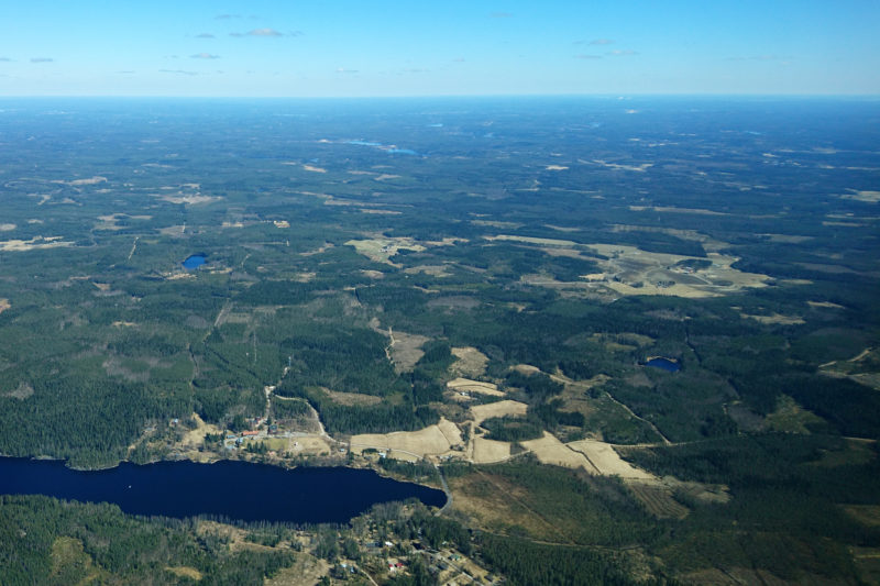 Aerial view of a Finnish forest area. Photo: Matti Mottus