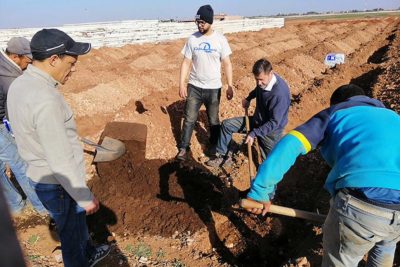 Tutkimusprofessori Hannu Ilvesniemi Luonnonvarakeskuksesta tarttui lapioon Marokossa. Parhaiten istutetuista puista kasvoi eukalyptus. Kuva: Luonnonvarakeskus
