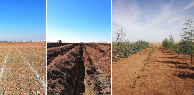 Panoramic view of the Field in Morocco. Photo: Natural Resouces Institute Finland