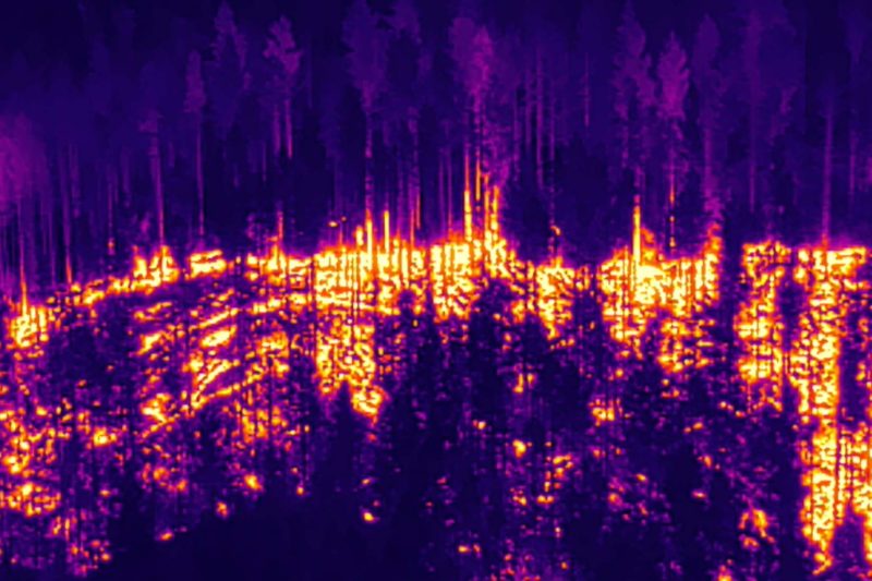 Metsäpalo lämpökameralla kuvattuna