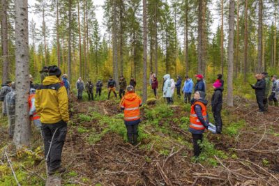 Jatkuvan kasvatuksen metsää Savossa