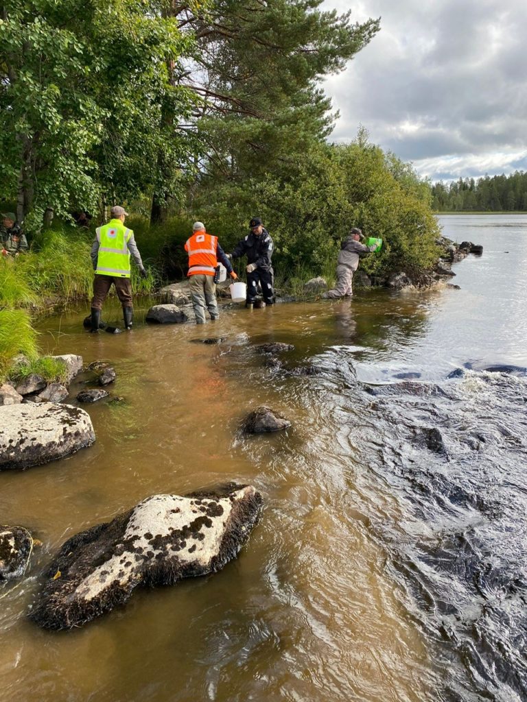 Kaarneenkoski rapids in Kuhmo were restored by vounteers from the forest company and local fishers. Photo: Stora Enso