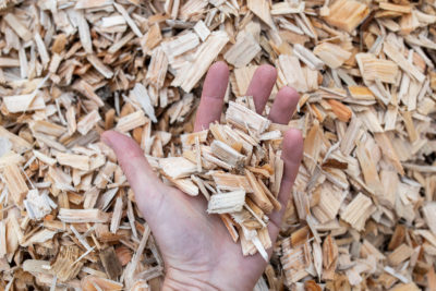 Metsähaketta. Kuva: Shutterstock