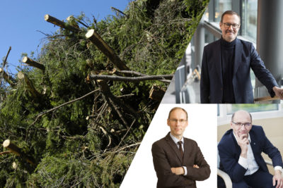 ’Security-of-supply forest’