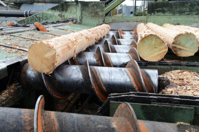 Tukkeja sahalinjalla. Kuva: Tero Pajukallio