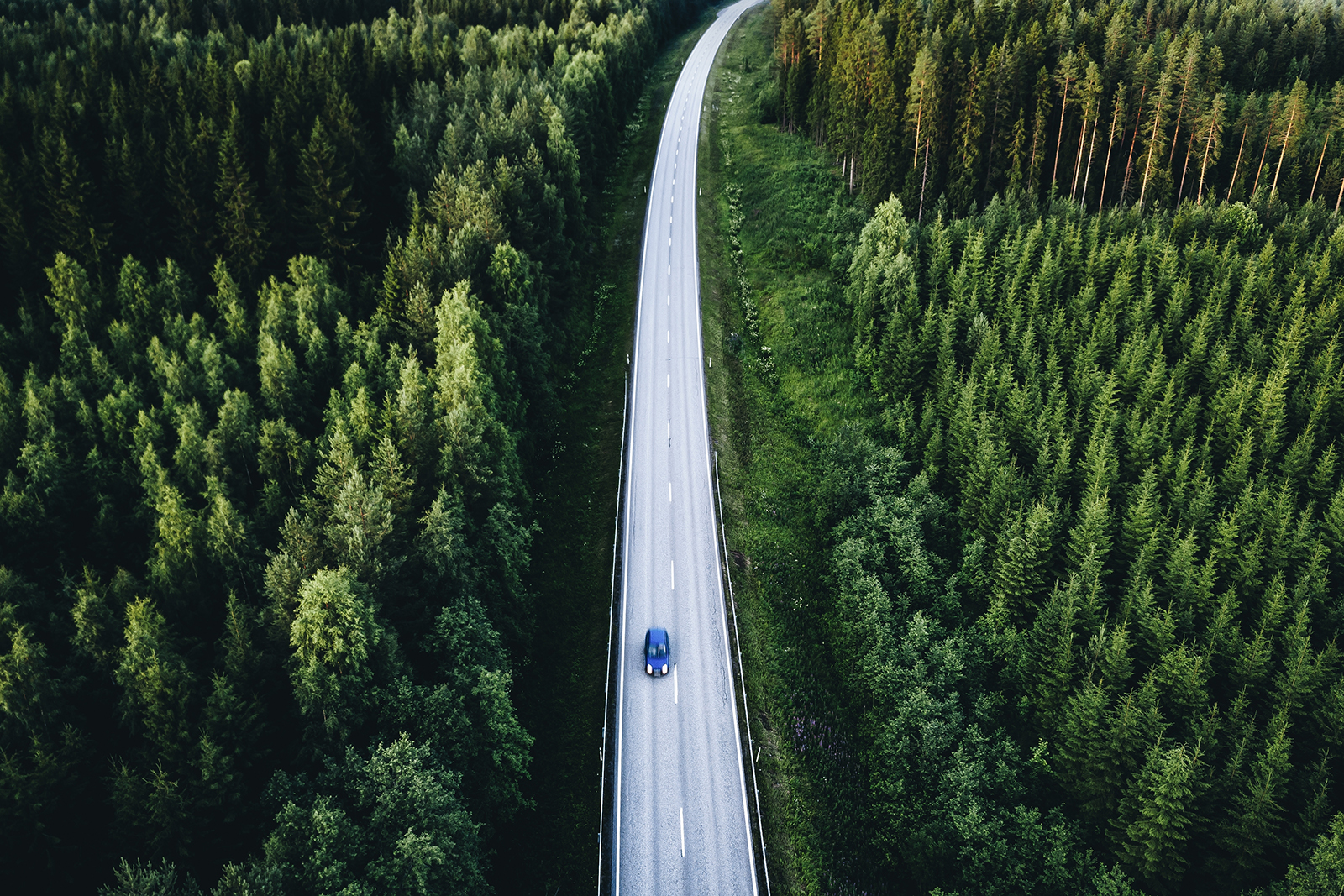 Auto metsätiellä. Kuva: Shutterstock