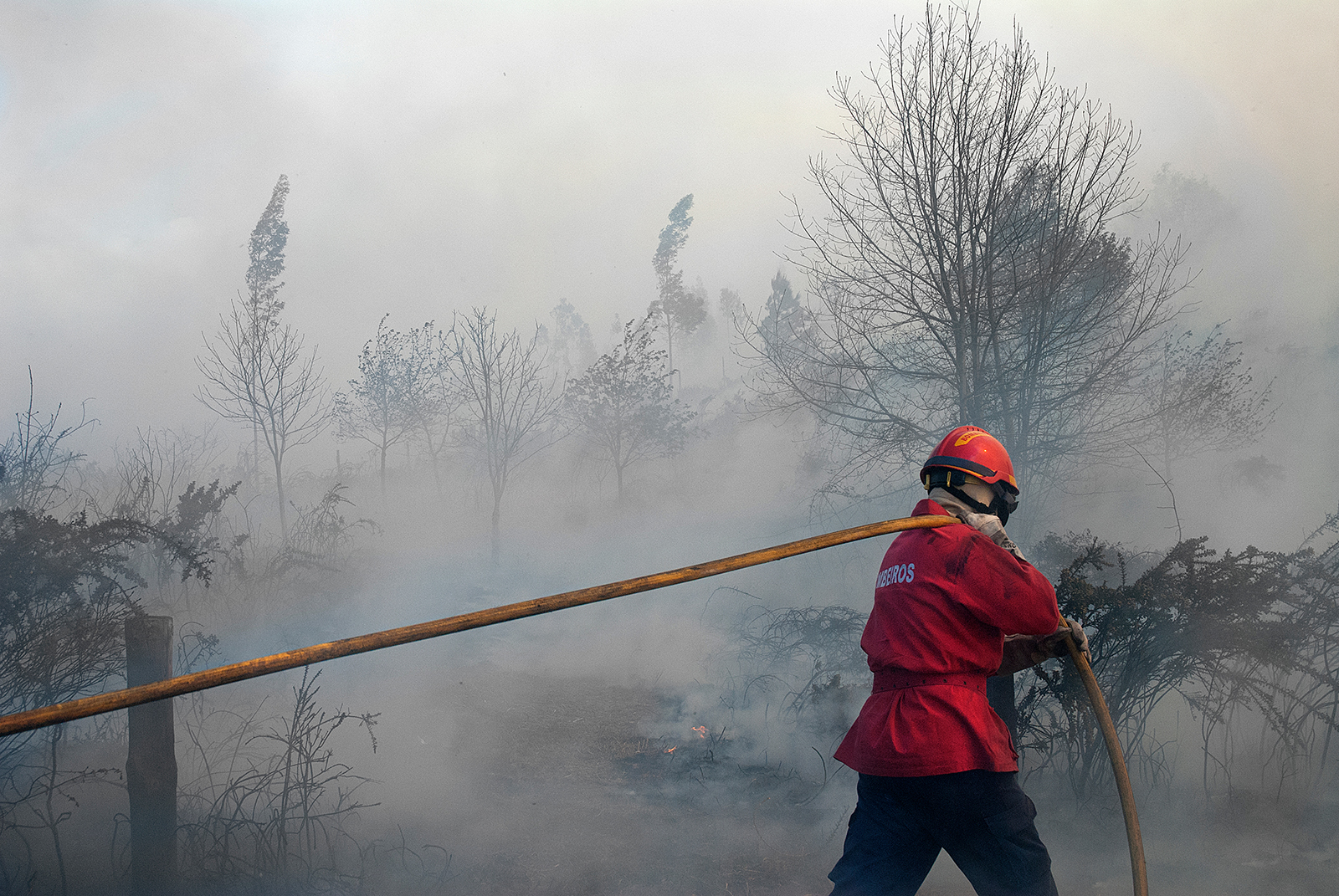 Palomies sammuttamassa metsäpaloa Portugalissa. Kuva: Shutterstock