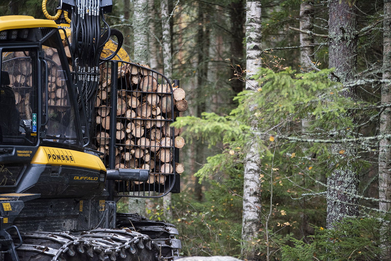 Forest machine. Photo: Vilma Issakainen