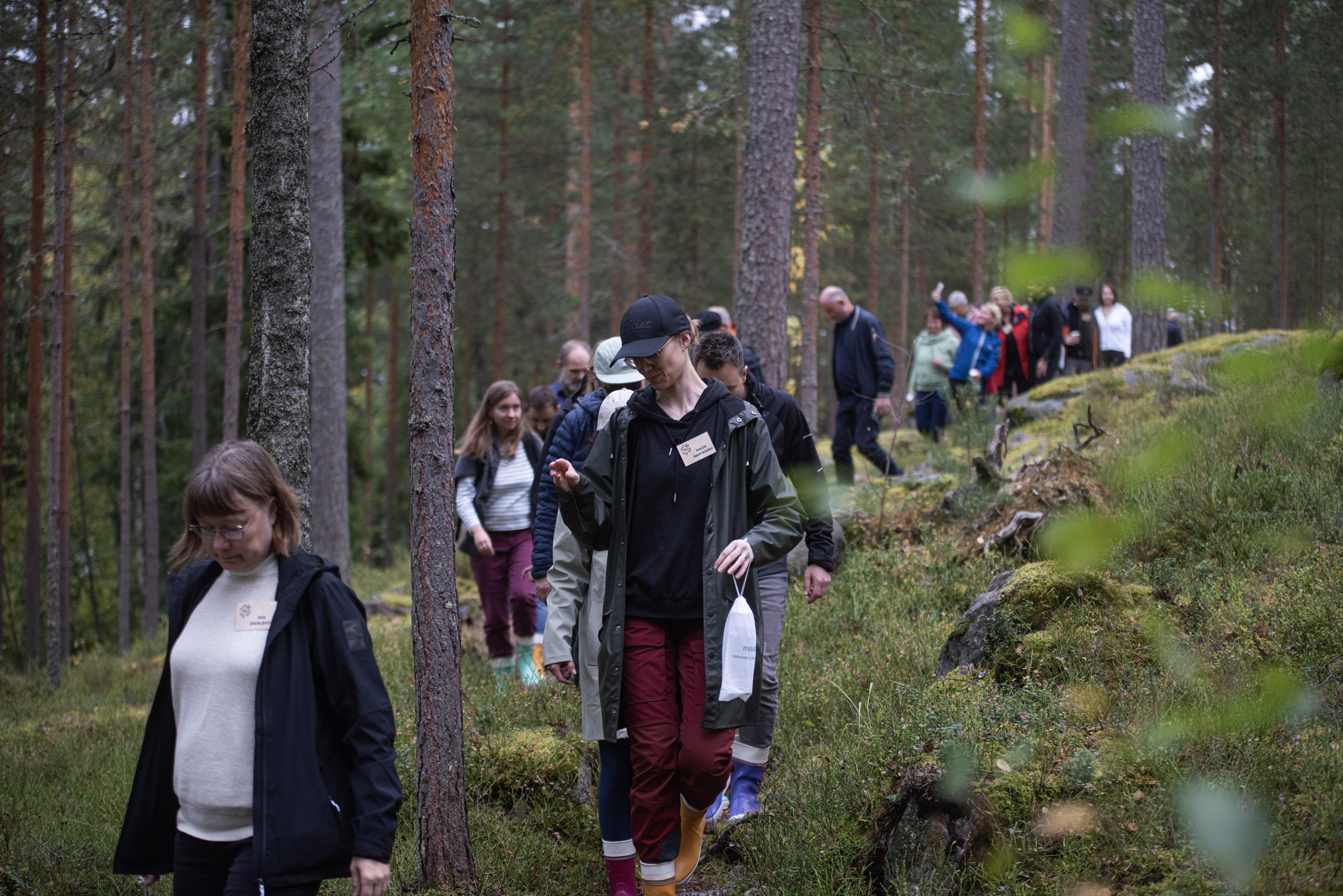 Kurssilaiset vierailivat talousmetsän luonnonhoidon kohteella Keski-Suomessa Jyväskylässä.