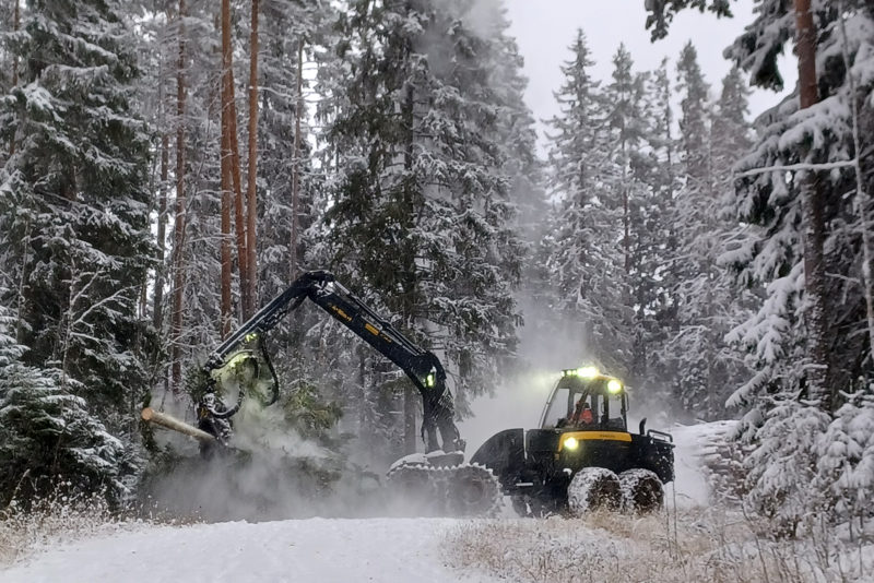 Metsäkone. Kuva: Anna Kauppi