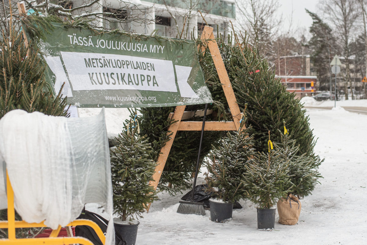 joulukuusikauppa ulkona Helsingissä