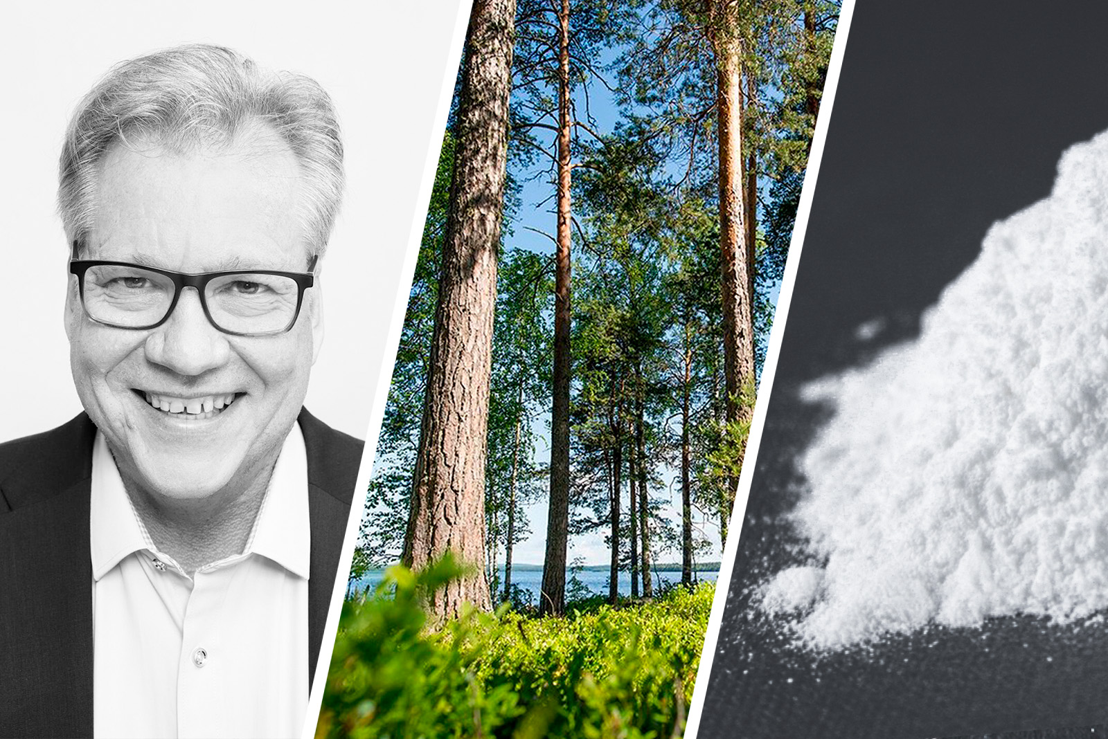 ’Cellulose can bring about so many improvements in the world that we aren’t necessarily capable of imagining them all as yet,’ professor Olli Dahl says.