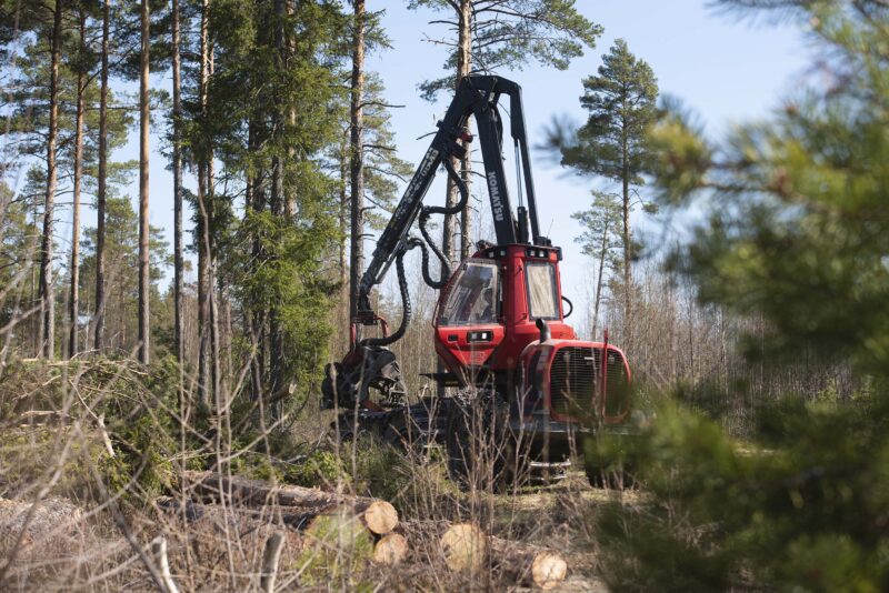 metsäkone kaatamassa puita