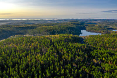 Using satellite and aerial images to monitor forest damage has become a new and effective tool. Photo: Shutterstock