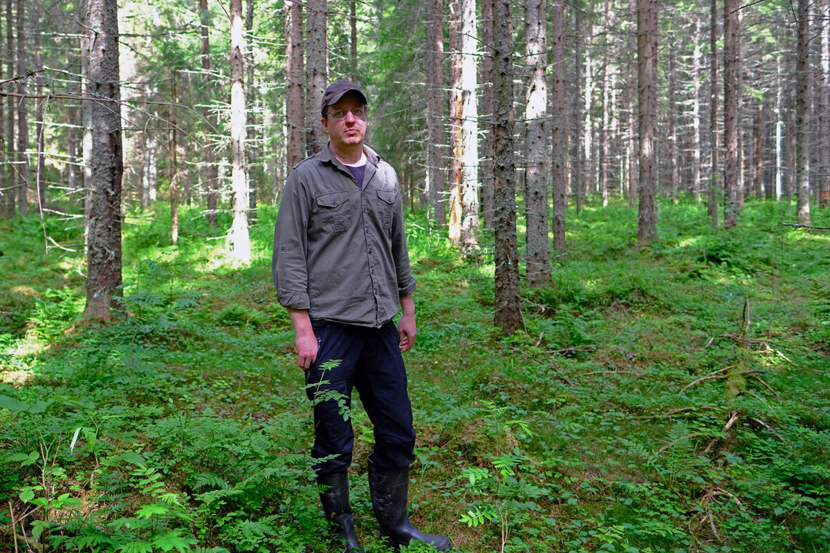 Lauri Haataja. Kuva: Juho Kokkonen, Metsäkeskus