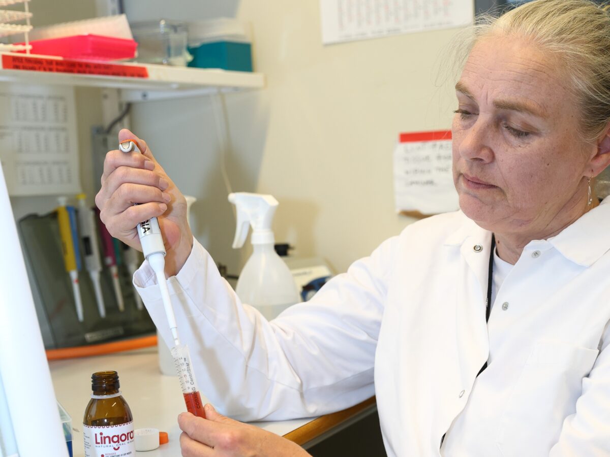 Pirjo Pärnänen at work in the laboratory exploring the oral health benefits of fermented lingonberry juice.