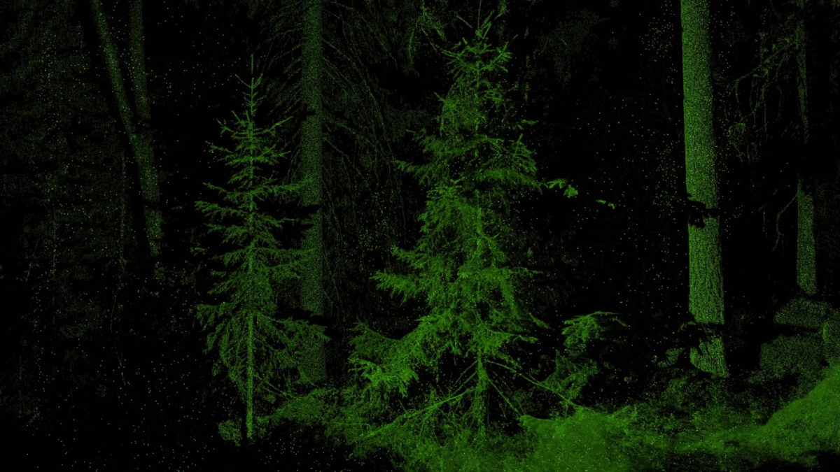 Point cloud produced by terrestrial laser scanning