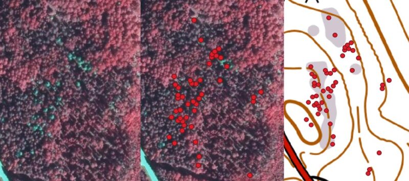 Ilmakuvia, joissa kuolleet kuuset on tunnistettu. Kuva: Antti Kaartinen