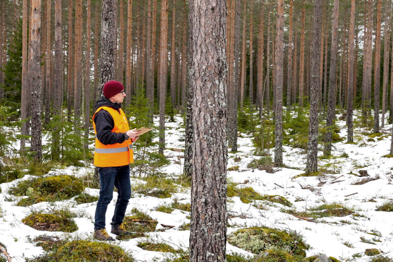 Stora Enso's Antti Kaartinen in the forest. Photo: Antti Kaartinen