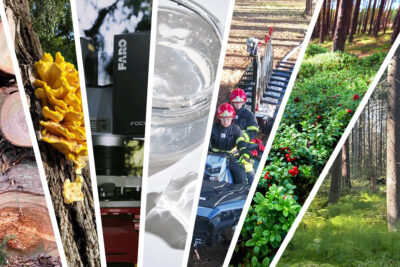 Kuvakollaasi vuoden 2025 luetuimmista jutuista. Kuva: Vilma Assikainen