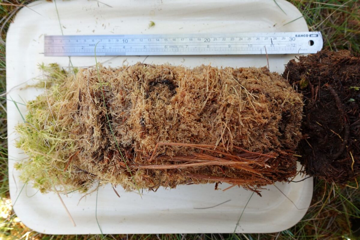 Rahkasammal. Kuva Teemu Tahvanainen