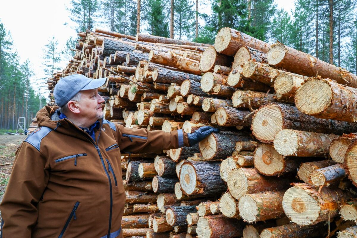 Timber harvesting at the Kuikkasuo site was completed in March 2026. The owner of the peatland, Petri Purmonen, wants to restore the area to a more natural state for both landscape and water management reasons. Photo: MTK