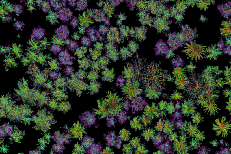 A forest point cloud acquired using multispectral airborne laser scanner. Photo: Antero Kukko / National Land Survey of Finland