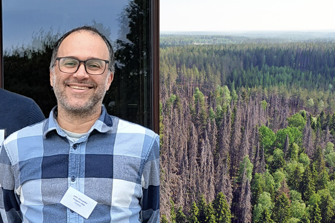 Itä-Suomen yliopiston tutkijatohtori John Pulgarín Díaz ja kirjanpainajan tuhoamaa kuusikkoa.