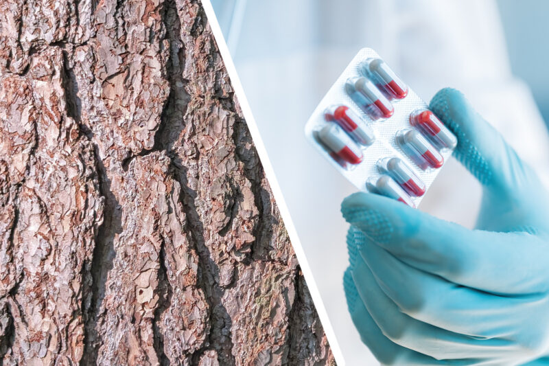Oulun yliopistossa kehitetään metsäteollisuuden sivuvirroista, erityisesti männynkuoresta, valmistettavaa vedenpuhdistusmateriaalia. Kuva Anna Kauppi / Shutterstock