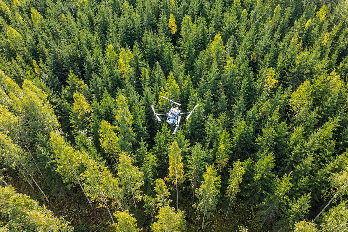 Aerial view of forest and a drone. Photo: Silvadrones